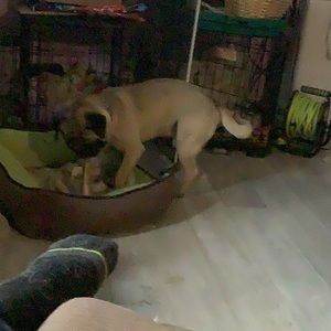 Meet your Posher, Terry